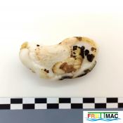 628imageIMG 20230807 141959 (2).jpg