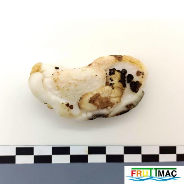 Archivo:628imageIMG 20230807 141959 (2).jpg