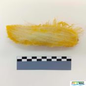 619imageIMG 20230807 121823 (2).jpg