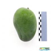 621imageIMG 2242.JPG