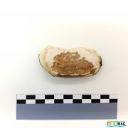 633imageIMG 20230807 141920 (2).jpg