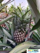 935imageIMG 20231129 092721.jpg