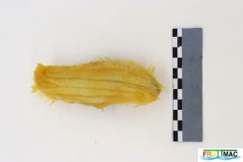 1073imageIMG 9080.jpg