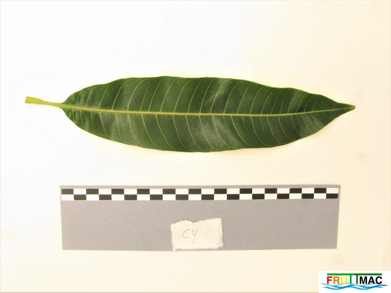 Archivo:624imageIMG 0766 (3).JPG