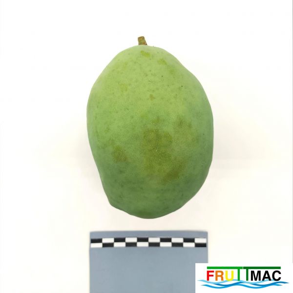 Archivo:628imageIMG 20230803 143621 (3).jpg