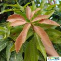 93imageIMG 20240605 101300.jpg
