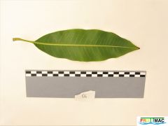 627imageIMG 0791 (3).JPG