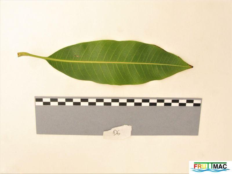 Archivo:627imageIMG 0791 (3).JPG