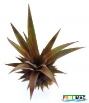 934imageIMG 6050.JPG