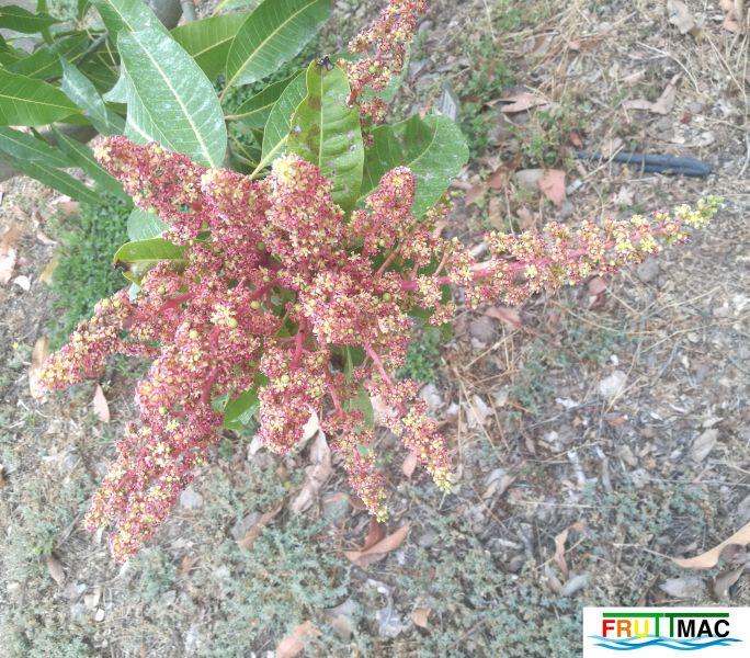 Archivo:611imageIMG 19700105 154430.jpg