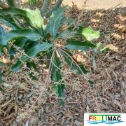 622imageIMG 20241230 124639.77.jpg