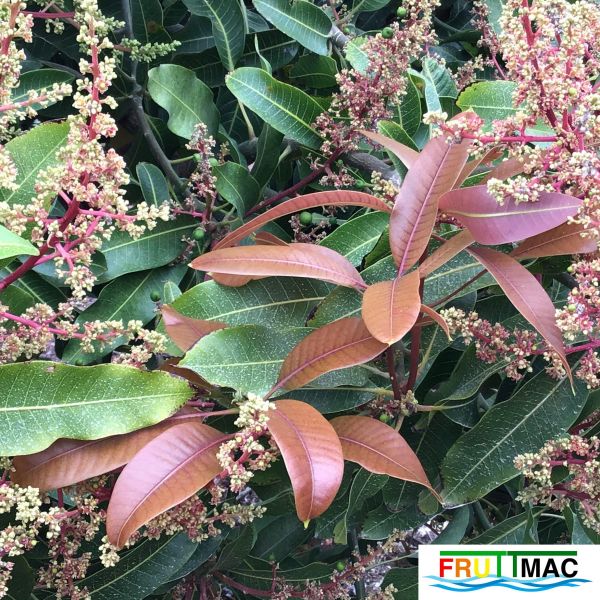 Archivo:627imageIMG 3937.JPG