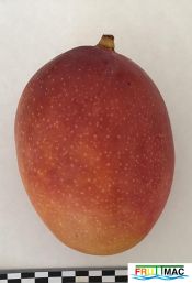 89imageIMG 5412.JPG
