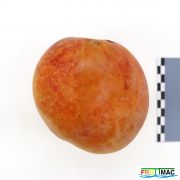 101imageIMG 3440.JPG