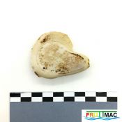 624imageIMG 20230818 115438.jpg