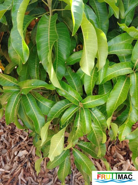 Archivo:628imageIMG 20240716 115210(1).jpg