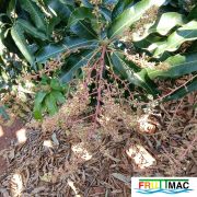 622imageIMG 20241230 124654.77.jpg