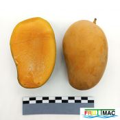 621imageIMG 20230811 114151(2).jpg