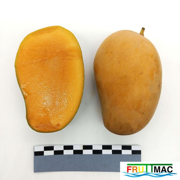 Archivo:621imageIMG 20230811 114151(2).jpg