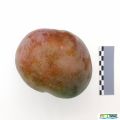 101imageIMG 20230831 130528.jpg