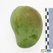115imageIMG 4343.JPG