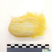 89imageIMG 20230821 140216.jpg