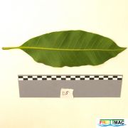 611imageIMG 0587.JPG