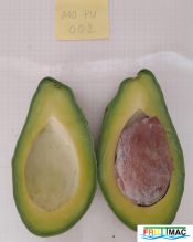 803imageMO.PU002 FRUTO PARTIDOmin.jpg