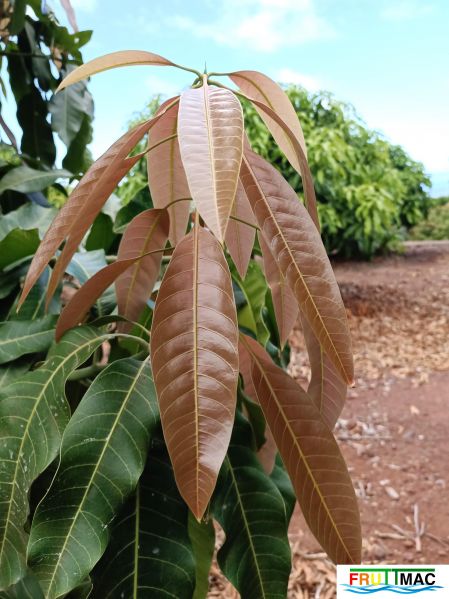 Archivo:625imageIMG 20240605 112417.jpg