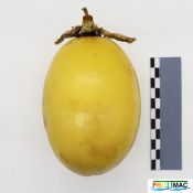 895imageIMG 5739.JPG