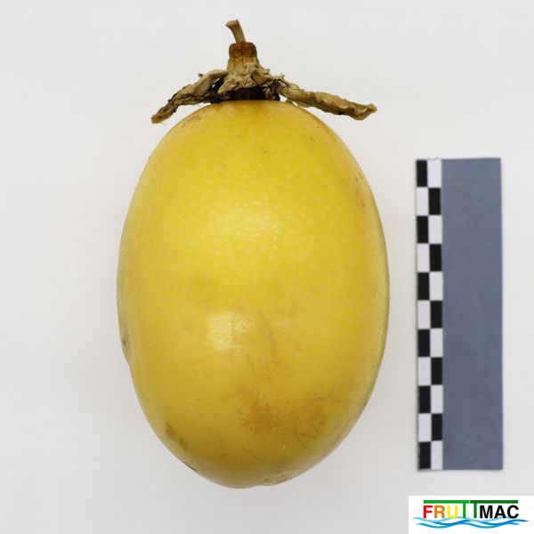 Archivo:895imageIMG 5739.JPG