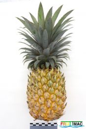 898imageIMG 5778.JPG