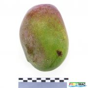 137imageIMG 4364.JPG