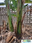 44imageIMG 20230125 100145 (2).jpg