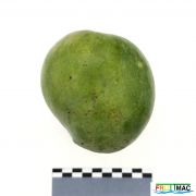57imageIMG 20230831 123613.jpg