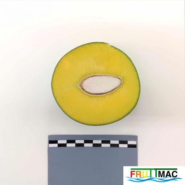 Archivo:627imageIMG 20230803 135931 (2).jpg