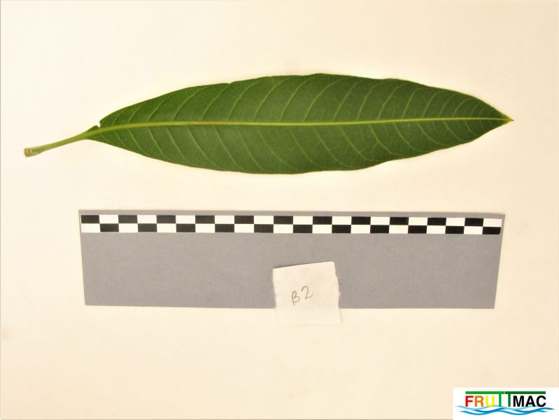 Archivo:621imageIMG 0807 (3).JPG