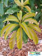 93imageIMG 20240605 101234.jpg
