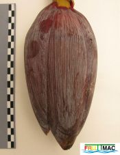 44imageIMG 1044 (2).JPG
