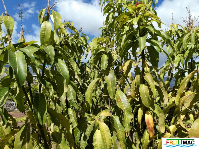 Archivo:72imageP1020579 (2).jpg