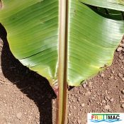 1021imageIMG 20250321 114110.111.jpg