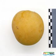 102imageIMG 4488.JPG