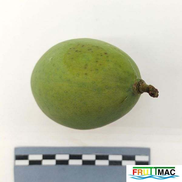 Archivo:625imageIMG 20230803 143326 (2).jpg