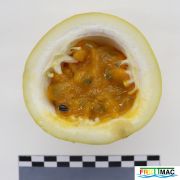 895imageIMG 5744.JPG