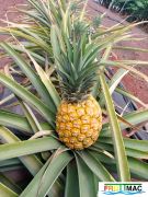 933imageIMG 20240605 123424.jpg