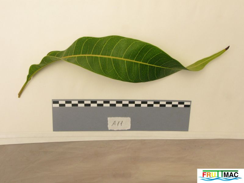 Archivo:105imageIMG 0516 (4).JPG