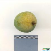 633imageIMG 20230803 141026 (2).jpg