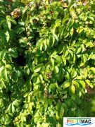 895imageIMG 20231129 100256.jpg