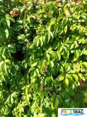 895imageIMG 20231129 100256.jpg