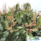 627imageIMG 3940 (2).jpg